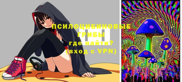 шишки Артём