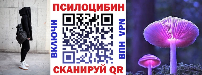 дарк нет формула Туран Псилоцибиновые грибы Psilocybe